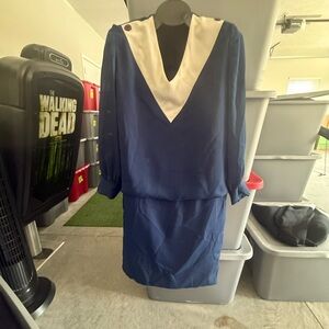 Blue and White Dress mp14